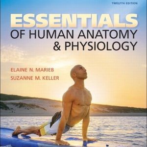 Essentials of Human Anatomy & Physiology